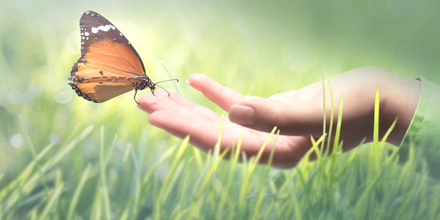 https://www.bundeseg.com/wp-content/uploads/2020/03/life-insurance.jpg